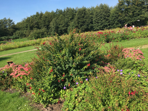 2020 Übersicht.jpg (5.6 MiB) 22036 mal betrachtet Übersicht Sept. 2020