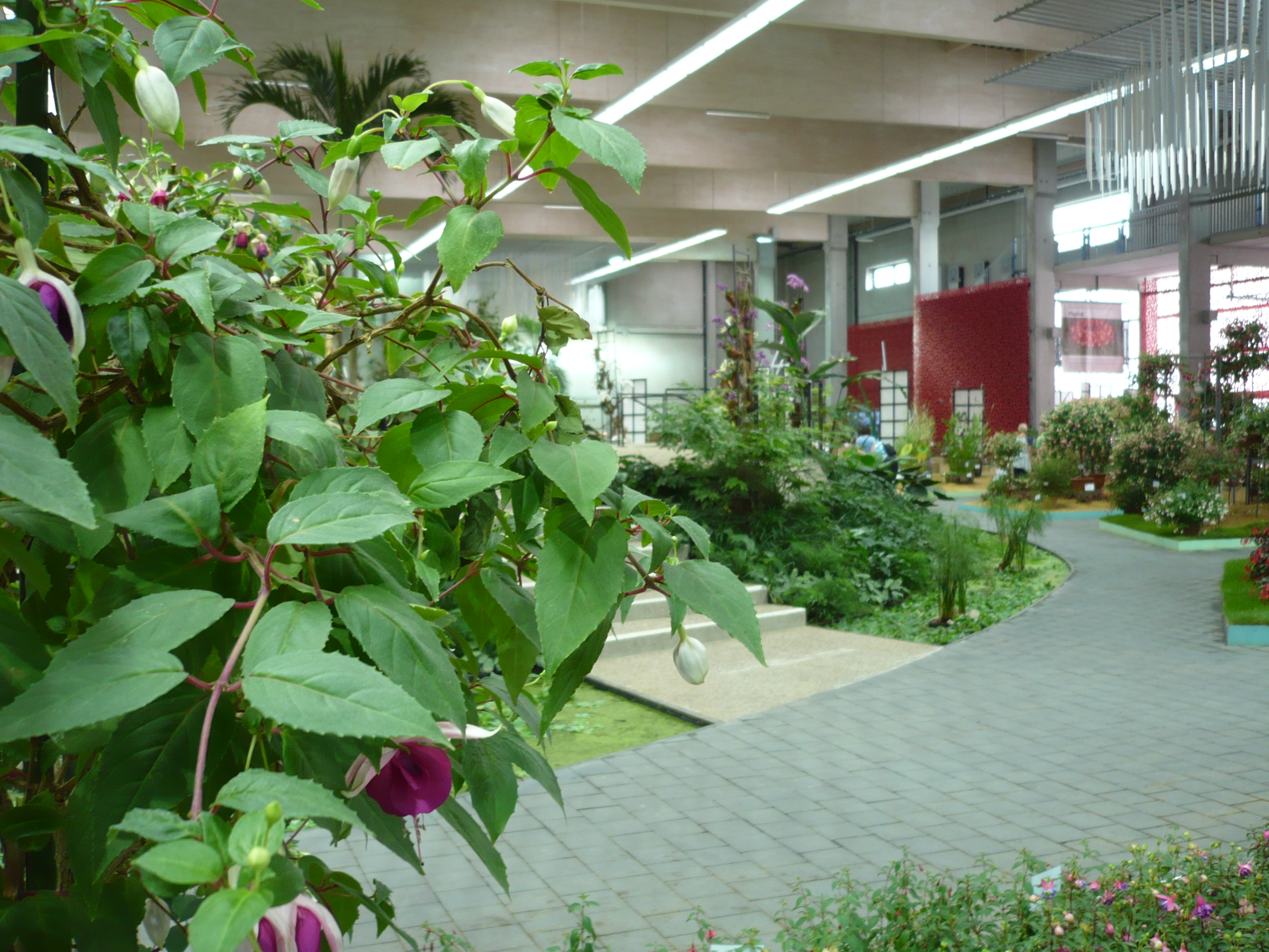 P1260871.JPG