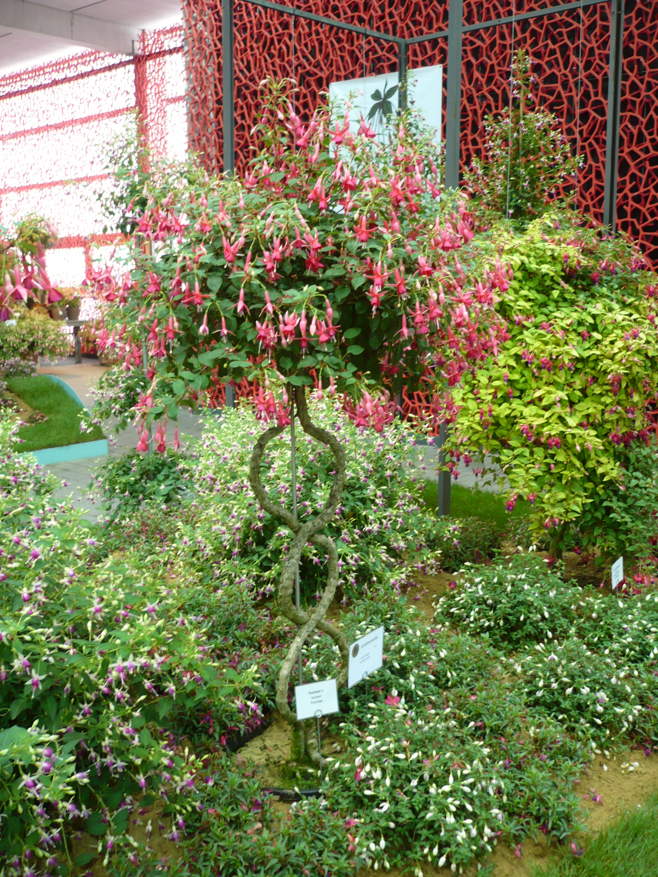 P1260873.JPG