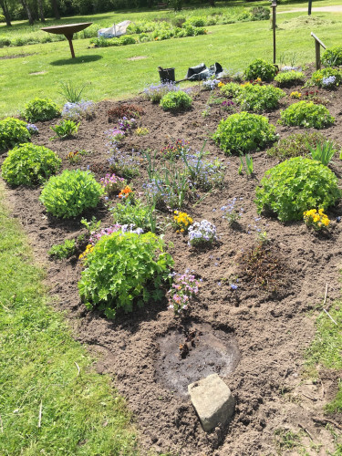 Luhegarten Mai.jpg (1.21 MiB) 21345 mal betrachtet Beet in den Gärtnerfantasien