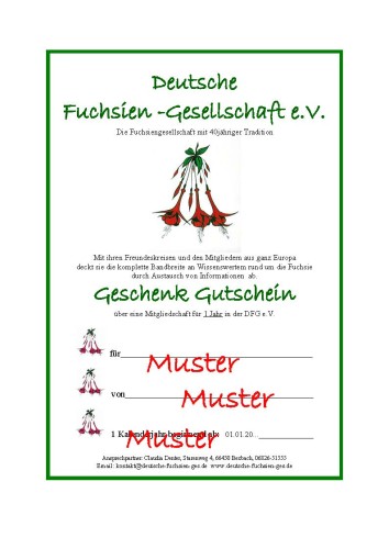 MUSTER, Muster Geschenkgutschein aktuell .jpg