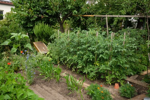 Nicht nur Tomaten