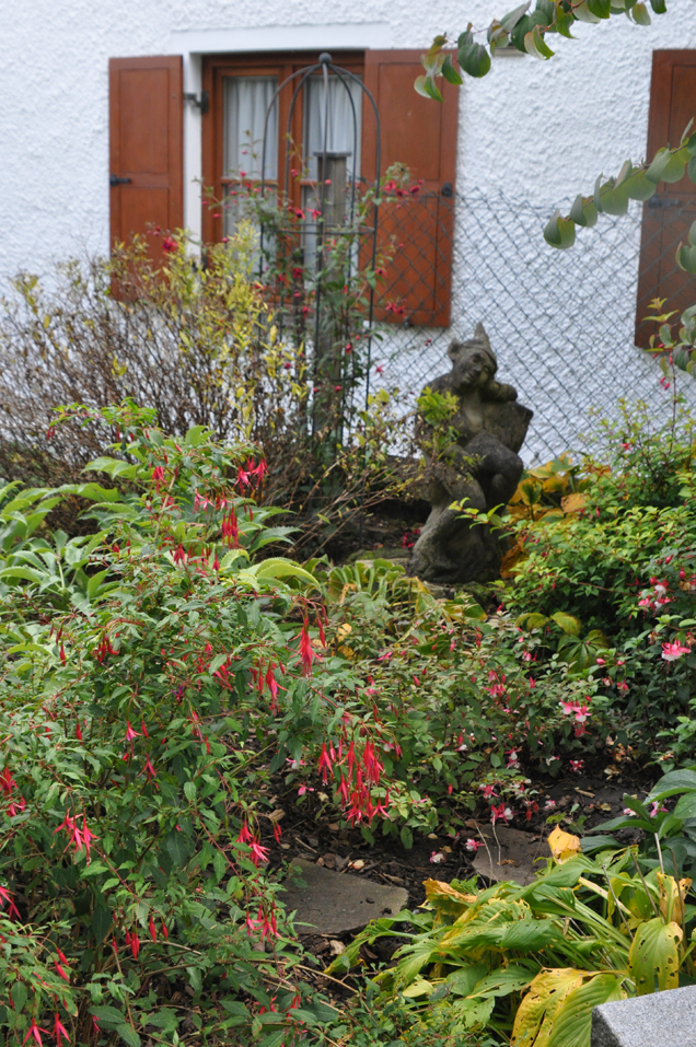 DSC_Ecke m Fuchsien jpg.jpg