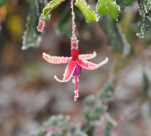 DSC_0634 wh .jpg