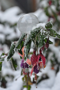 DSC_0636 wh .jpg