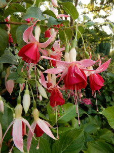 DSCN2074.JPG