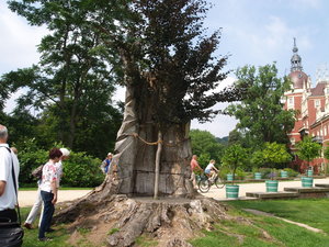P7224692.JPG