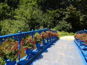 DSCN3481.jpg