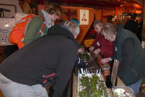 2019 Kieckeberg.jpg (548.09 KiB) 5756 mal betrachtet Das war 2019