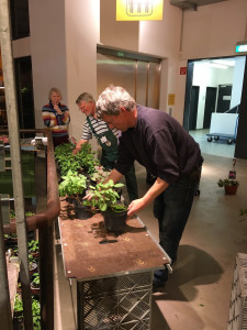 IMG_1939.jpg (440.24 KiB) 5421 mal betrachtet Anselm in Aktion