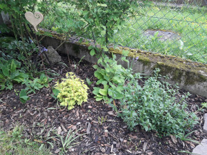 20230516_190741.jpg