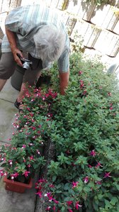 IMG_20160730_152831.jpg