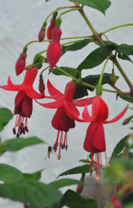 DSC_0317.JPG