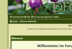 Screenshot 2023-07-01 at 09-48-31 Deutsche Fuchsiengesellschaft e.V. Forum - Portal.png