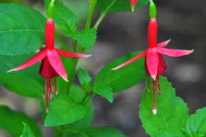 DSC_0407.JPG