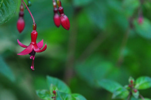 DSC_0416.JPG