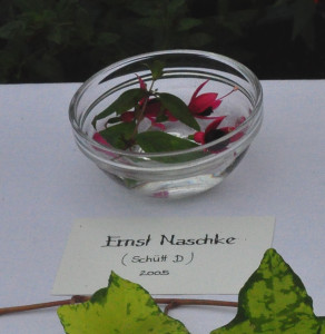DSC_Ernst Naschke.jpg