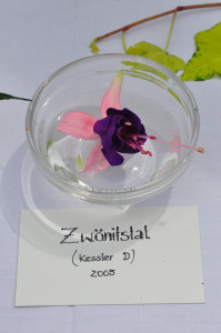 DSC_Zwänistal.jpg