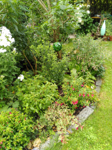 Fuchsienbeet_2023_1.jpg