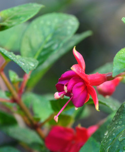 DSC_0322.JPG