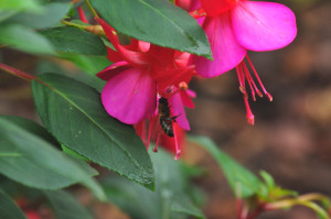 DSC_0652.JPG