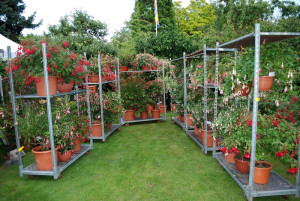 DSC_0790.jpg (522.66 KiB) 6082 mal betrachtet 6 Wagen sind bestückt