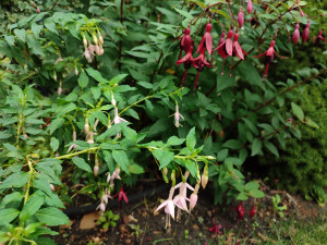 IMG_20231007_142437.jpg