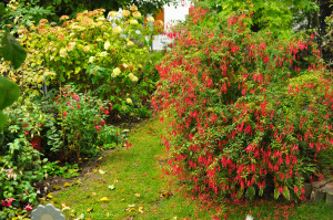 DSC_0633.JPG