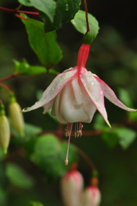 DSC_0638.JPG