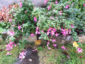 20231027_095030.jpg