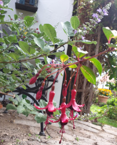 20240802_081758.jpg