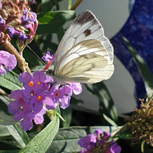 20240907_135701.jpg