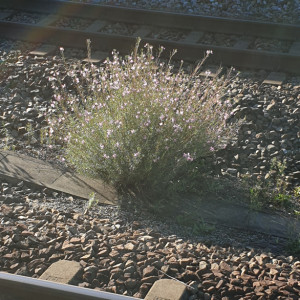 20240907_173031.jpg