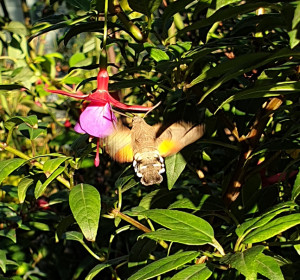 20240921_090339.jpg