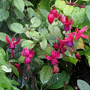20241002_093941.jpg