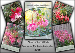 Kalender 2025.jpg
