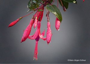 IMG_6283.JPG