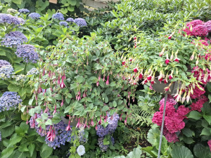 78b49caf-9afa-4e9d-abb2-a048171888d0.jpg (759.63 KiB) 4128 mal betrachtet 'Remembering Claire' und 'Annie Earle'