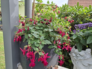 689b7649-1c2a-478e-8604-1dbc64d5edbd.jpg (460.4 KiB) 4132 mal betrachtet 'Pres. George Bartlett'