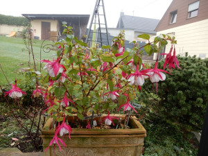 Ende Oktober 2024 im Tonkasten