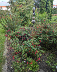 PXL_20240923_121336861 1.jpg