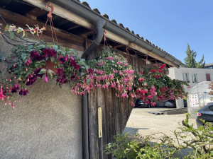 Image - 2026-02-16T114119.522.jpg