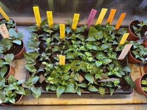 Image - 2026-04-28T113924.257.jpg