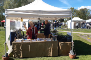 am Anfang alles noch entspannt